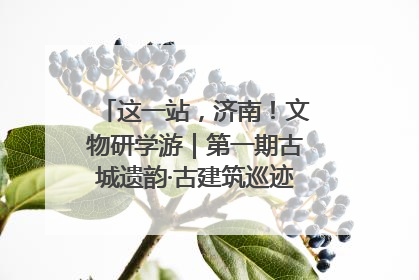 这一站，济南！文物研学游｜第一期古城遗韵·古建筑巡迹之旅圆满结束
