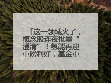 这一领域火了，概念股连夜批量“澄清”！氢能再迎重磅利好，基金重仓股出炉