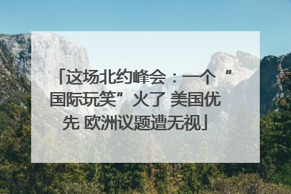 这场北约峰会：一个“国际玩笑”火了 美国优先 欧洲议题遭无视