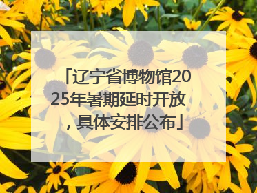辽宁省博物馆2025年暑期延时开放，具体安排公布