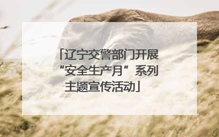 辽宁交警部门开展“安全生产月”系列主题宣传活动