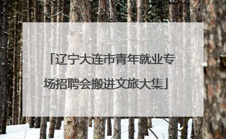 辽宁大连市青年就业专场招聘会搬进文旅大集