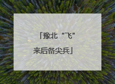 豫北“飞”来后备尖兵