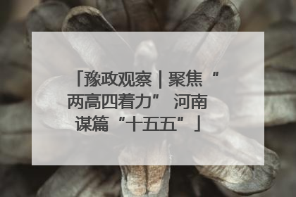 豫政观察｜聚焦“两高四着力” 河南谋篇“十五五”