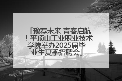 豫荐未来 青春启航！平顶山工业职业技术学院举办2025届毕业生夏季招聘会