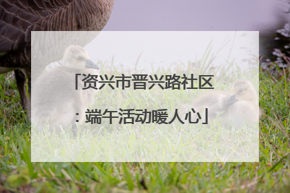 资兴市晋兴路社区：端午活动暖人心