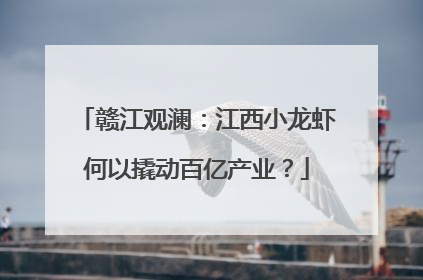 赣江观澜：江西小龙虾何以撬动百亿产业？