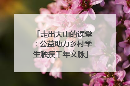 走出大山的课堂：公益助力乡村学生触摸千年文脉
