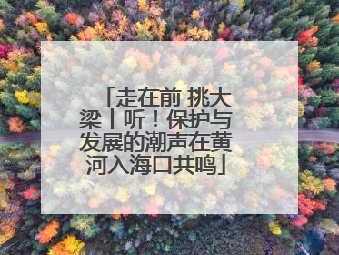 走在前 挑大梁丨听！保护与发展的潮声在黄河入海口共鸣