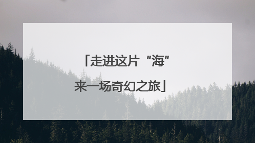 走进这片“海”来一场奇幻之旅
