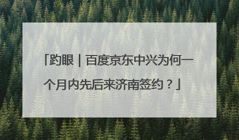 趵眼｜百度京东中兴为何一个月内先后来济南签约？