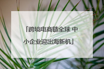 跨境电商链全球 中小企业迎出海新机