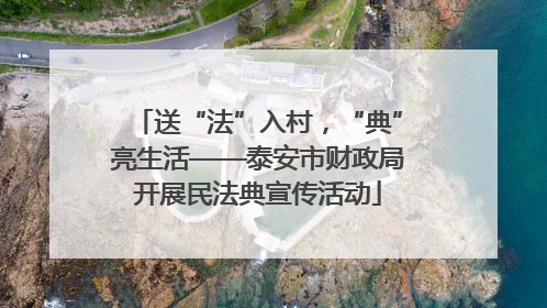 送“法”入村，“典”亮生活——泰安市财政局开展民法典宣传活动