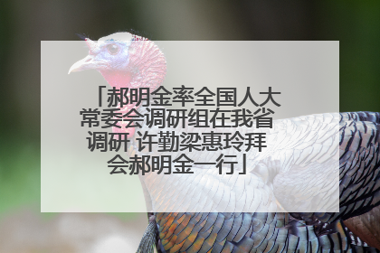 郝明金率全国人大常委会调研组在我省调研 许勤梁惠玲拜会郝明金一行