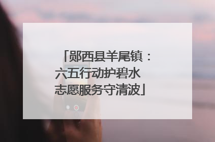 郧西县羊尾镇：六五行动护碧水 志愿服务守清波