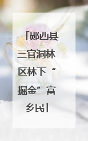 郧西县三官洞林区林下“掘金”富乡民