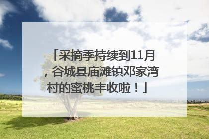 采摘季持续到11月，谷城县庙滩镇邓家湾村的蜜桃丰收啦！