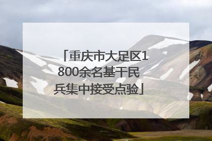 重庆市大足区1800余名基干民兵集中接受点验