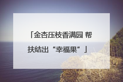金杏压枝香满园 帮扶结出“幸福果”