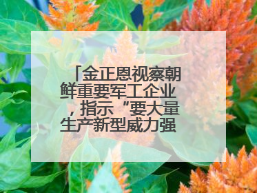 金正恩视察朝鲜重要军工企业，指示“要大量生产新型威力强大的炮弹”