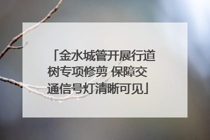 金水城管开展行道树专项修剪 保障交通信号灯清晰可见