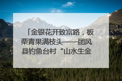 金银花开致富路，板栗青果满枝头——团风县钓鱼台村“山水生金”谱写共富新篇章