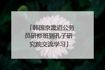 韩国京畿道公务员研修班到孔子研究院交流学习