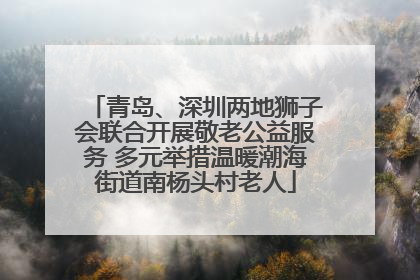 青岛、深圳两地狮子会联合开展敬老公益服务 多元举措温暖潮海街道南杨头村老人
