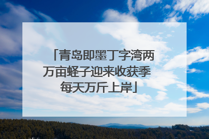 青岛即墨丁字湾两万亩蛏子迎来收获季 每天万斤上岸