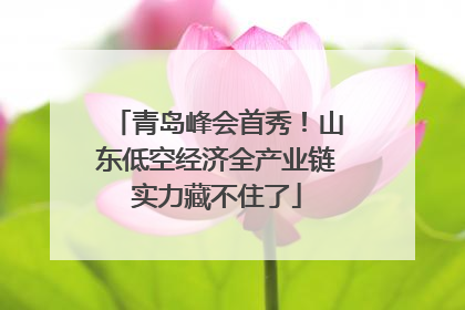 青岛峰会首秀！山东低空经济全产业链实力藏不住了
