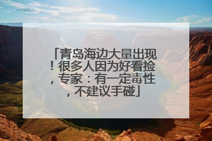 青岛海边大量出现！很多人因为好看捡，专家：有一定毒性，不建议手碰