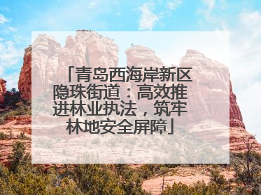 青岛西海岸新区隐珠街道：高效推进林业执法，筑牢林地安全屏障