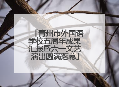 青州市外国语学校五周年成果汇报暨六一文艺演出圆满落幕