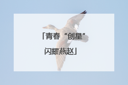 青春“创星” 闪耀燕赵