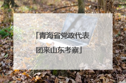 青海省党政代表团来山东考察