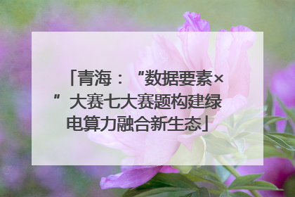 青海：“数据要素×”大赛七大赛题构建绿电算力融合新生态