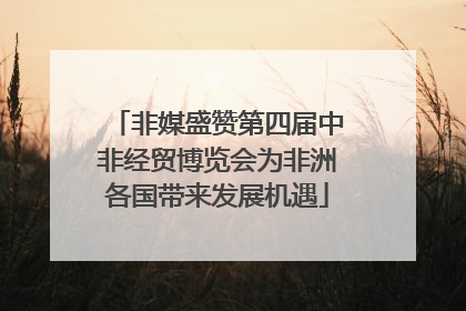 非媒盛赞第四届中非经贸博览会为非洲各国带来发展机遇