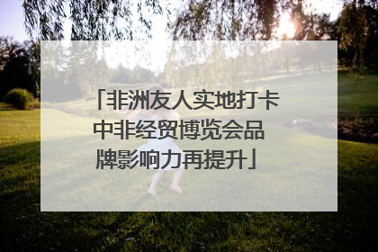 非洲友人实地打卡 中非经贸博览会品牌影响力再提升