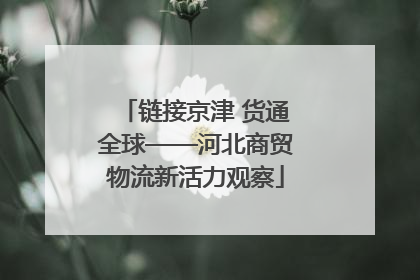 链接京津 货通全球——河北商贸物流新活力观察