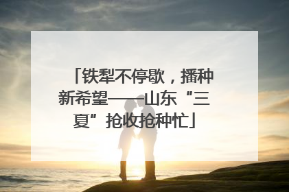 铁犁不停歇，播种新希望——山东“三夏”抢收抢种忙