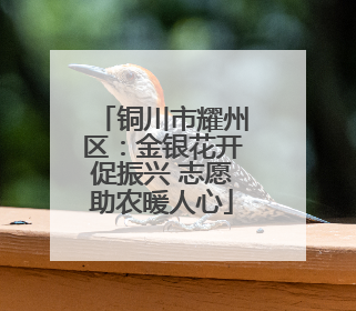 铜川市耀州区：金银花开促振兴 志愿助农暖人心