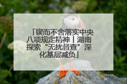 锲而不舍落实中央八项规定精神丨湖南探索“无扰督查”深化基层减负