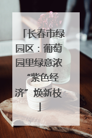 长春市绿园区：葡萄园里绿意浓 “紫色经济”焕新枝