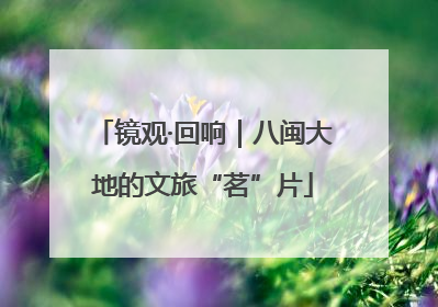 镜观·回响｜八闽大地的文旅“茗”片
