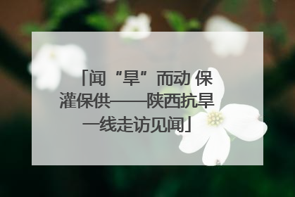 闻“旱”而动 保灌保供——陕西抗旱一线走访见闻