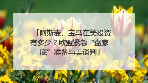 阿斯麦、宝马在美投资有多少？欧盟紧急“盘家底”准备与美谈判