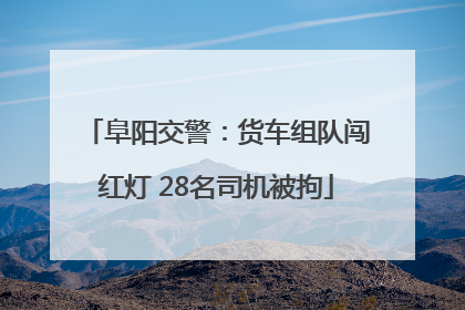 阜阳交警：货车组队闯红灯 28名司机被拘