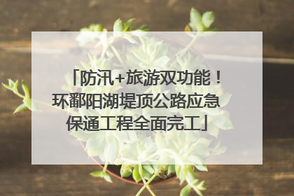 防汛+旅游双功能！环鄱阳湖堤顶公路应急保通工程全面完工