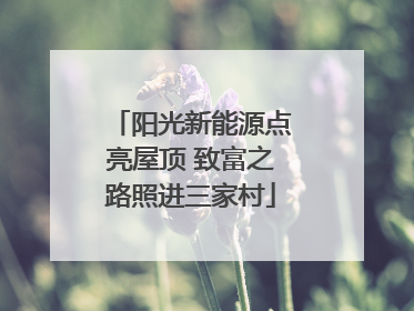 阳光新能源点亮屋顶 致富之路照进三家村