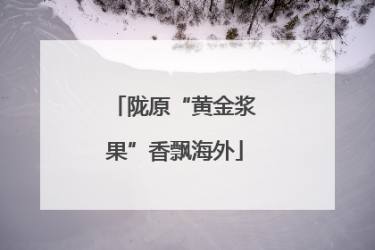 陇原“黄金浆果”香飘海外